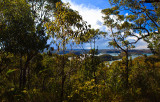 Bush looking towards Hawkesbury River