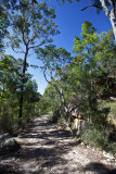 Pathway in Muogamarra Nature Reserve