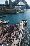 Sydney Harbour Bridge and crowd at freedom of arts demonstration