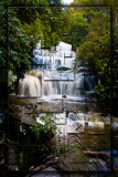 Purakaunui Falls collage
