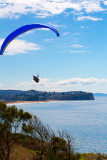 Paraglider at Mona Vale 