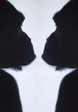 Gorillas or candlestick ?