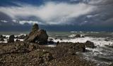 Coast near Blenheim - 24mm