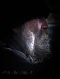 Profile of the homeless