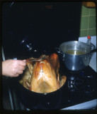  scan of 3D slide- Thanksgiving turkey- 1953