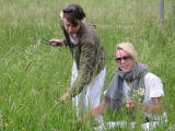 Gathering Wildflowers