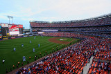 lights go down at Shea