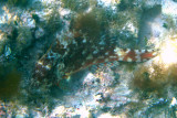 IMG_1546.JPG