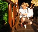 Julie feeding the White-nosed Coatis