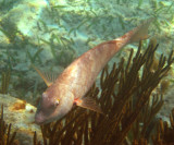 IMG_1697.JPG
