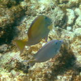 IMG_1720.JPG