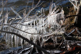 Icicles
