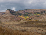 PA066534.jpg