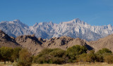 PA247487.jpg