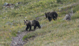 glacierNP_10_335.JPG