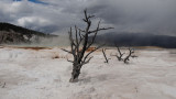 yellowstone_ss_10_003.JPG