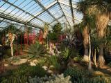 Chihuliy@Kew