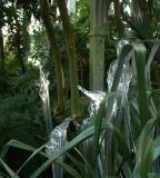 Temperate House