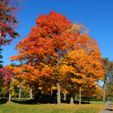 Hampton Park