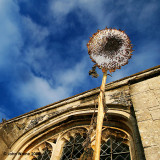 Blue Sky and Sun......flower 3