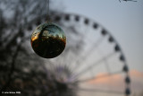IMG_8522 copy.jpg