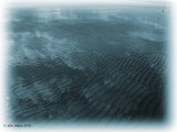 Beach Patterns