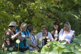 At The Botanical Gardens