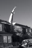 20060213 Shark Attack