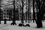 IMG_3310 copy.jpg