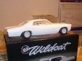 wildcat stocker