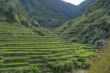 More Rice Terraces.jpg