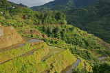 Banaue Morning.jpg