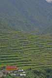 Yellow Church and Terraces.jpg