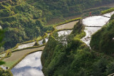 Terrace Reflections.jpg