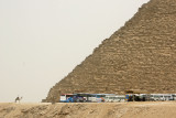 Camel Watch Khufu Pyramid Giza.jpg