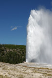 Faithful Old Faithful.jpg