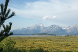 Tetons Afternoon.jpg