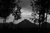 Tetons and Aspens Black and White.jpg