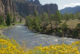 Bighorn River.jpg