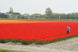 DSC00942.JPG