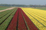 DSC00801.JPG