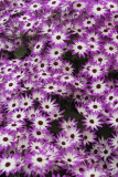 DSC00863.JPG