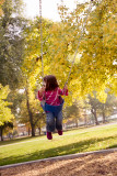 20101101_004_web.jpg