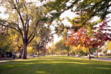 20101101_008_web.jpg