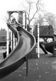 20101224_010_web.jpg