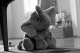 IMG_8187.JPG