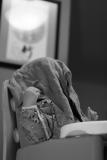 IMG_0575.JPG