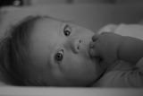 IMG_2219.jpg