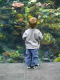 Stacys Nephew