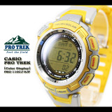 casio prg 110c